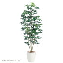 人工観葉植物 シェフレラ 150cm 高さ150cm (P233) (dt98892) (代引き不可) インテリアグリーン フェイクグリーン