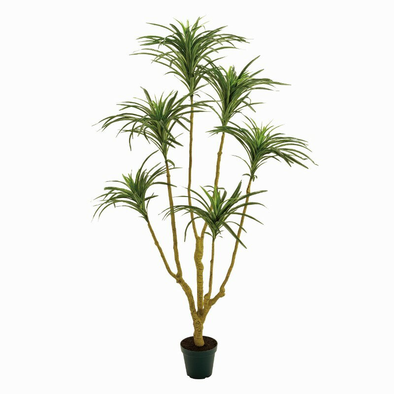 人工観葉植物 ユッカプラント ×6 高さ135cm （P225) （fg11544) （代引き不可） インテリアグリーン フ..