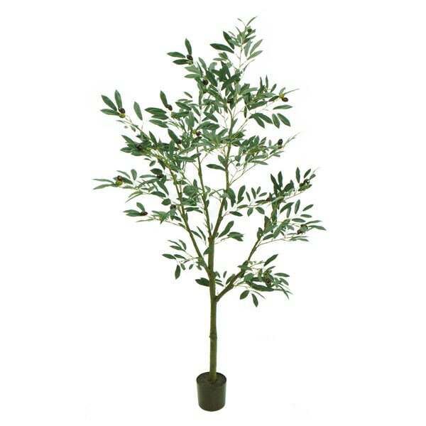 人工観葉植物 オリーブツリーポット 5F 高さ150cm （P222) （fg3910) （代引き不可） インテリアグリーン フェイクグリーン