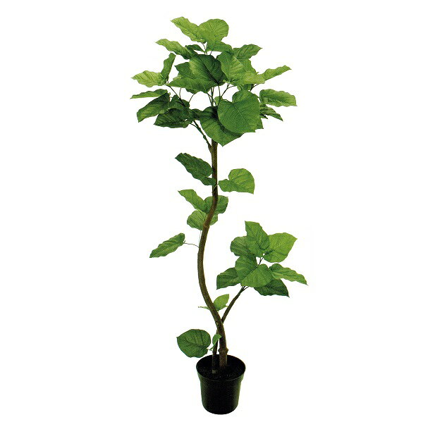 人工観葉植物 ウンベラータスパイラル 5F 高さ150cm （P220) （fg5229) （代引き不可） インテリアグリーン フェイクグリーン