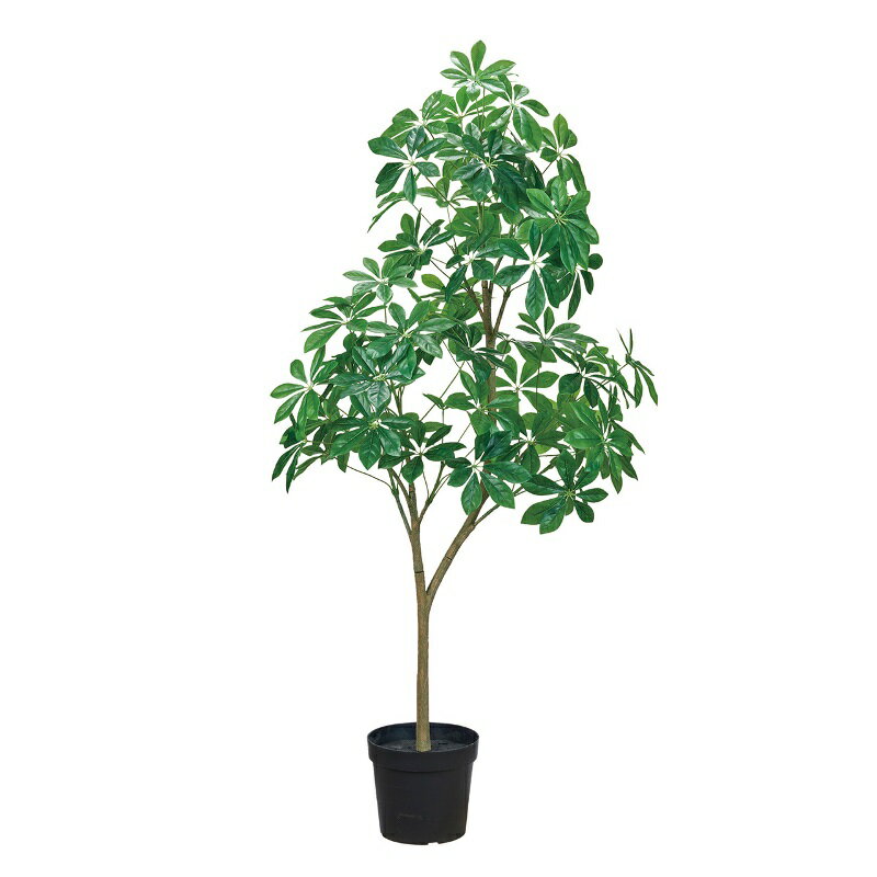 Rakuten - 人工観葉植物 シェルレラ ポット 3WAY 高さ70/100/150cm （P219) （fg779) （代引き不可） インテリアグリーン フェイクグリーン