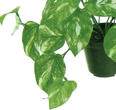 さくらソレイユ 楽天市場店の人工観葉植物 マーブルポトス ポット 高さ22cm （P212) （fg9015) （代引き不可） インテリアグリーン フェイクグリーン｜アングル3