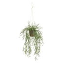 人工観葉植物 リプサリス ハンギングポット 高さ60cm (P210) (fz3900) (代引き不可) インテリアグリーン フェイクグリーン