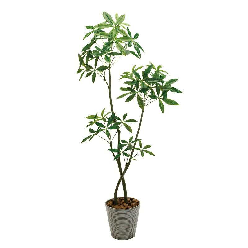 Leafy Plants - 人工観葉植物 パキラ 6F プランター入り 高さ190cm （P230) （mgf22100) （代引き不可） インテリアグリーン フェイクグリーン
