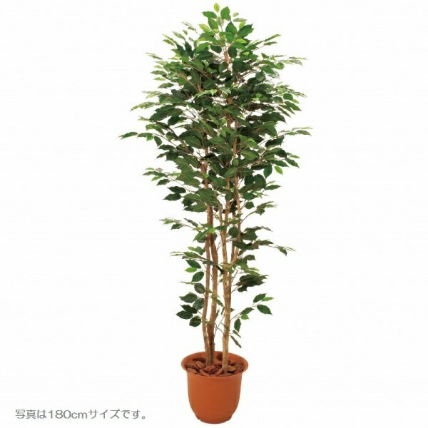 人工観葉植物 ベンジャミン3本立 150cm 高さ150cm （P231) （sk1095) （代引き不可） インテリアグリーン フェイクグリーン