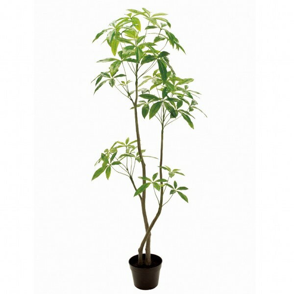 发财树 - 人工観葉植物 パキラ 6F 光触媒加工 高さ180cm （P224) （zv12100) （代引き不可） インテリアグリーン フェイクグリーン