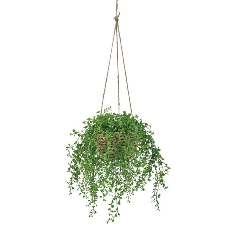 人工観葉植物 ベビーティアーズ ハンギング 光触媒加工 高さ30cm （P210) （zv133) （代引き不可） インテリアグリーン フェイクグリーン