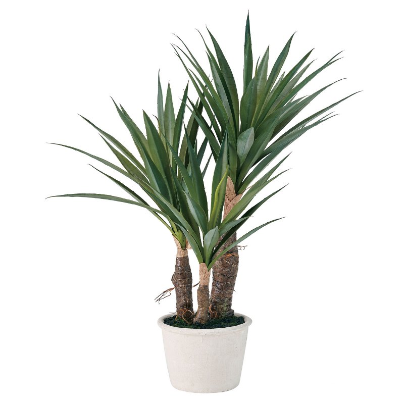 人工観葉植物 ユッカ ミニポット 光触媒加工 高さ50cm （P213) （zv3293) （代引き不可） インテリアグ..