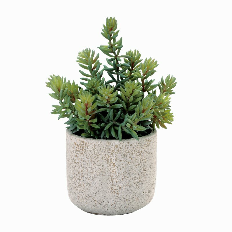 人工観葉植物 セダム ポット 光触媒加工 高さ23cm （P209) （zv8143) （代引き不可） インテリアグリーン フェイクグリーン
