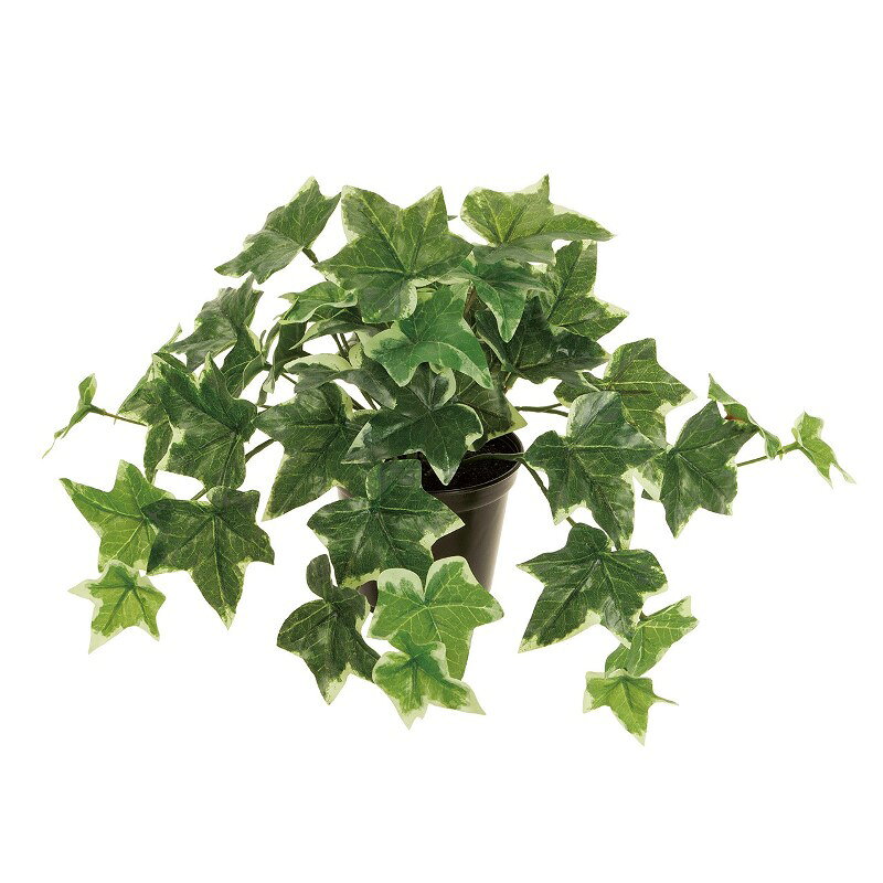 Rakuten - 人工観葉植物 アイビー ポット 光触媒加工 高さ22cm （P212) （zv9018) （代引き不可） インテリアグリーン フェイクグリーン