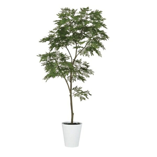 乐天商城 - 人工観葉植物 エバーフレッシュ FST 180cm 高さ180cm （P232) （dt99379) （代引き不可） インテリアグリーン フェイクグリーン