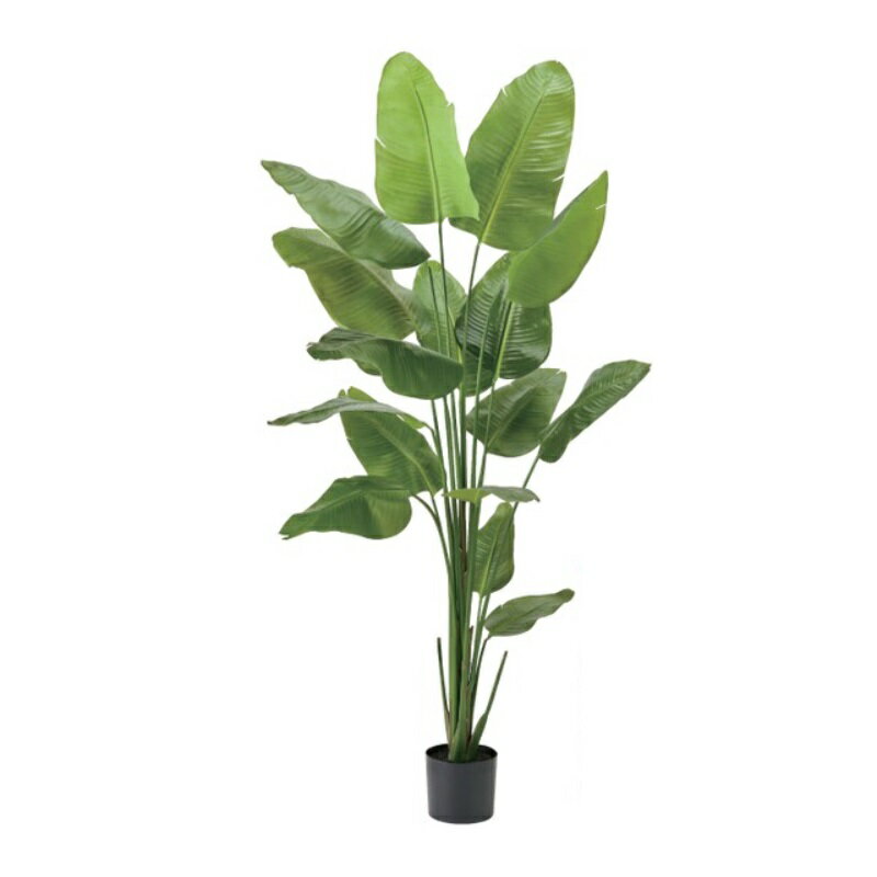 人工観葉植物 ストレリチア ジョイント ポット 高さ210cm （P227) （fg1553) （代引き不可） インテリ..