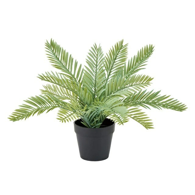 樂天商城 - 人工観葉植物 サイカス ミニポット 高さ30cm （P212) （fg183) （代引き不可） インテリアグリーン フェイクグリーン