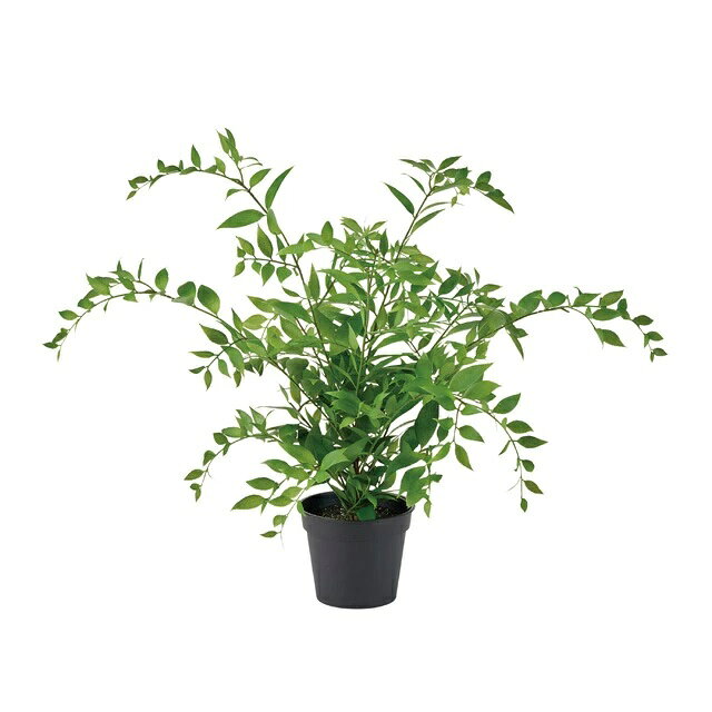 人工観葉植物 イタリアンルスカス ポット 高さ45cm （P214) （fg931) （代引き不可） インテリアグリー..