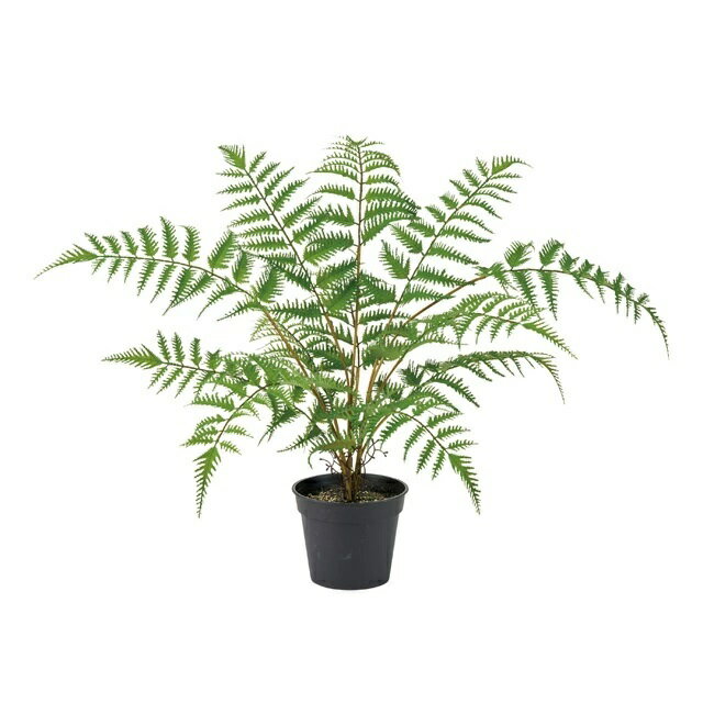 人工観葉植物 シダプランツ ポット 高さ40cm （P214) （fg935) （代引き不可） インテリアグリーン フ..