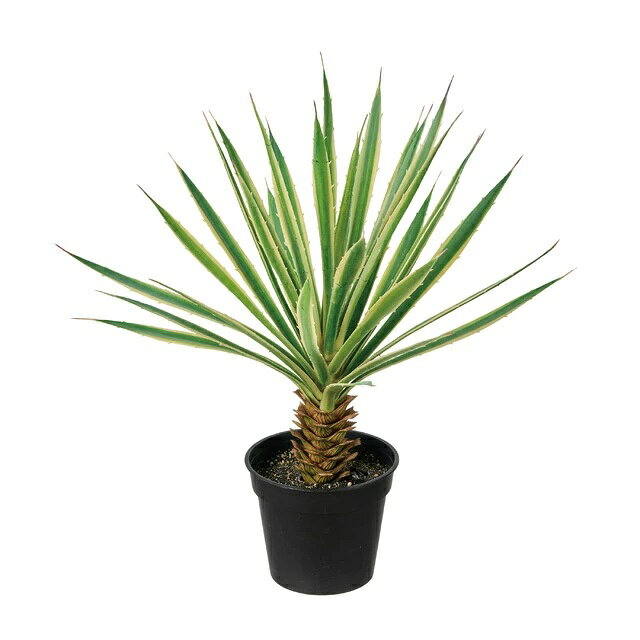 乐天商城 - 人工観葉植物 ユッカ ミニポット 光触媒加工 高さ40cm （P213) （zv932) （代引き不可） インテリアグリーン フェイクグリーン