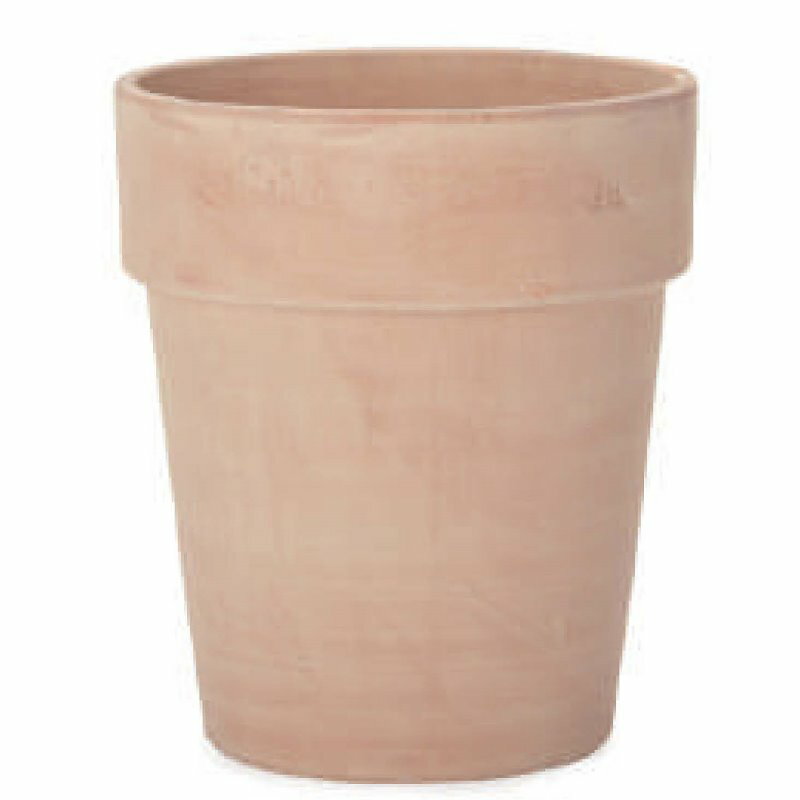 花・観葉植物用ポット イタリアンテラコッタ アルト アリーナ L 10号（1個入り）it-ww03312 [KTp311] ..