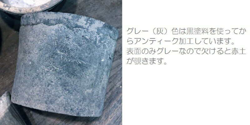 花・観葉植物用ポット モスポット スタンダード グレー M 6号 灰（6個入り）ms-100...