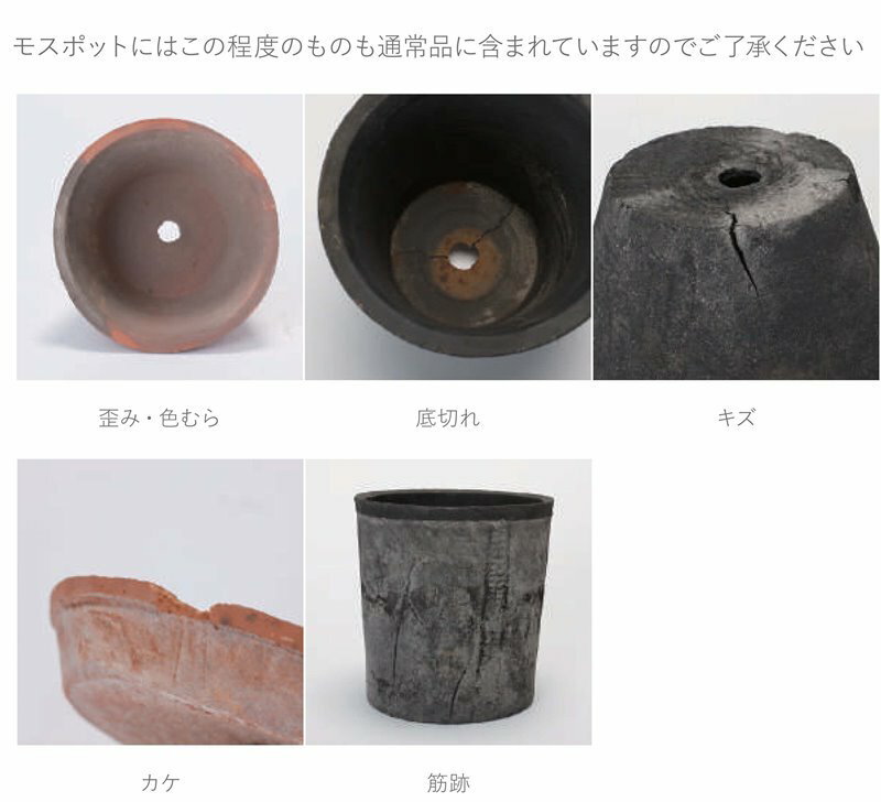 花・観葉植物用ポット モスポット スタンダード グレー M 6号 灰（6個入り）ms-100...