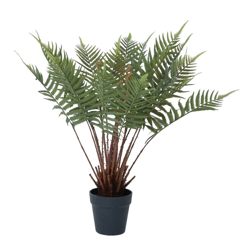 Rakuten - 人工観葉植物 ファーン ポット 74（1個入り）MIRAKANA シダ植物 床置きの小さいサイズ インテリア フェイクグリーン 造花 POT INDOORグリーン
