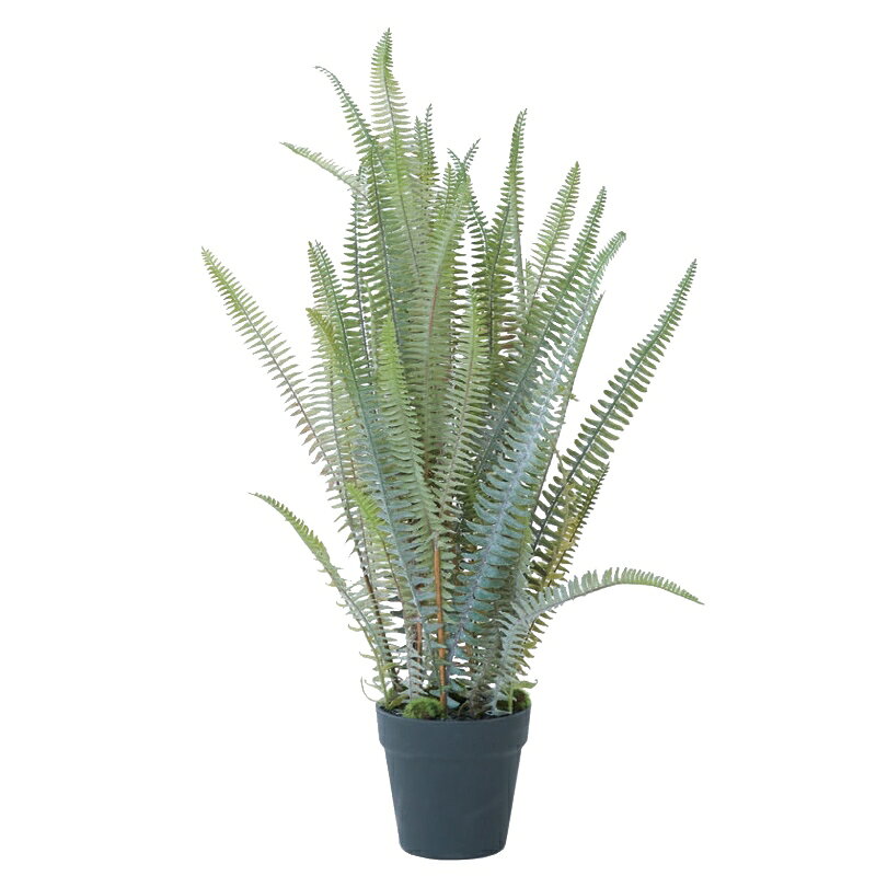 Leafy Plants - 人工観葉植物 ボストンファーン ポット シルバー 77（1個入り）MIRAKANA シダ植物 床置きの小さいサイズ インテリア フェイクグリーン 造花 POT INDOORグリーン