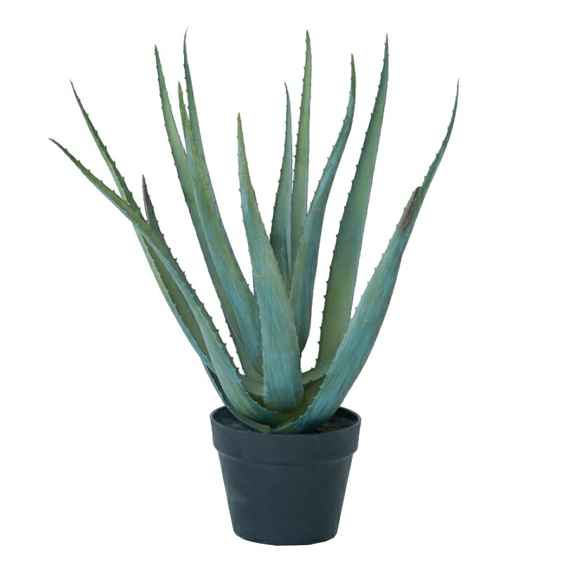 Rakuten - 人工観葉植物 アロエベラ ポット 57（1個入り）MIRAKANA 多肉植物 卓上、小型の床置きサイズ インテリア フェイクグリーン 造花 POT SUCCULENTグリーン
