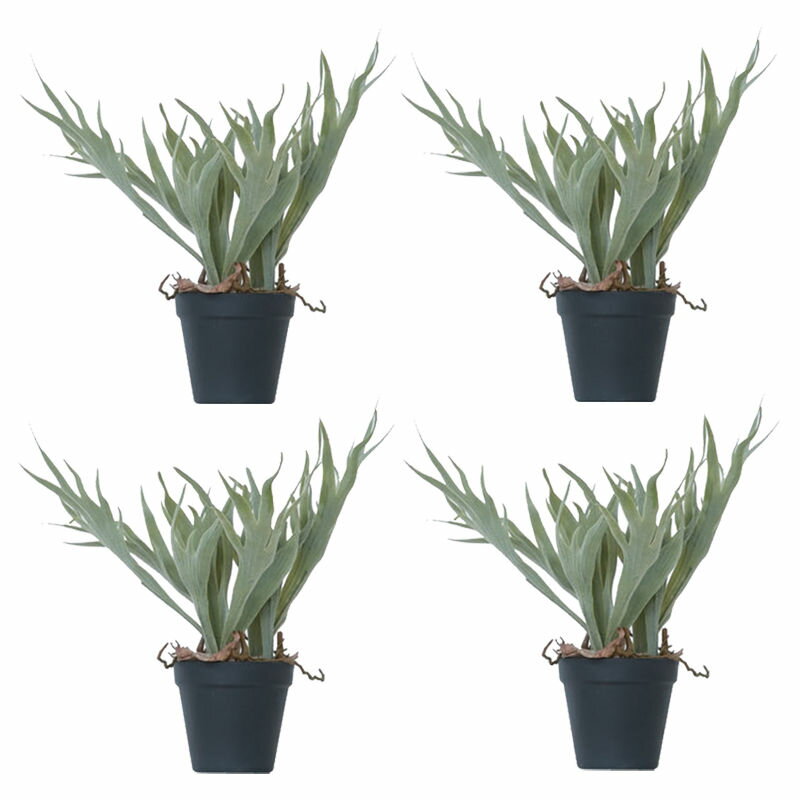 Rakuten - 人工観葉植物 ビカクシダ ポット 32（4個入り）MIRAKANA シダ植物 卓上、小型の床置きサイズ インテリア フェイクグリーン 造花 POT INDOORグリーン