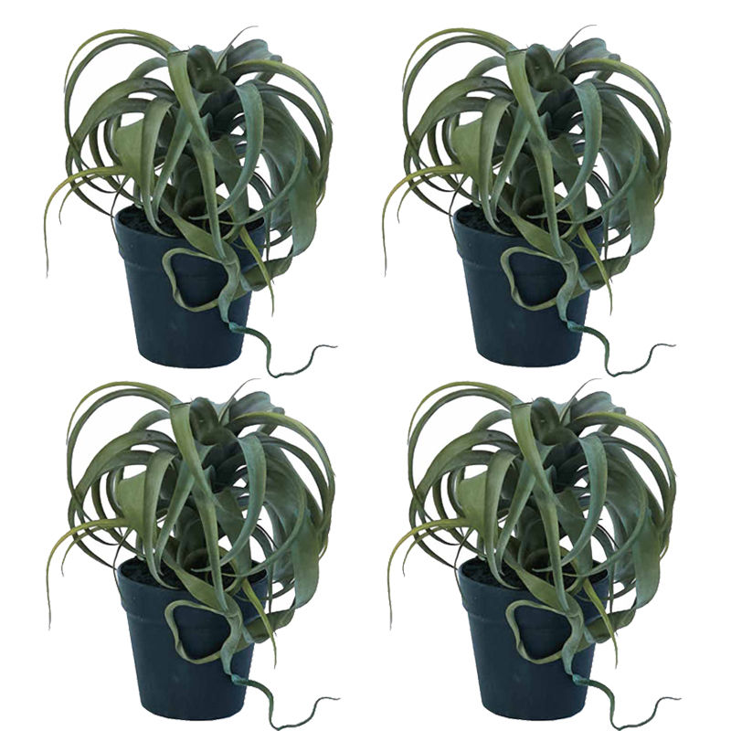 人工観葉植物キセログラフィカポット...