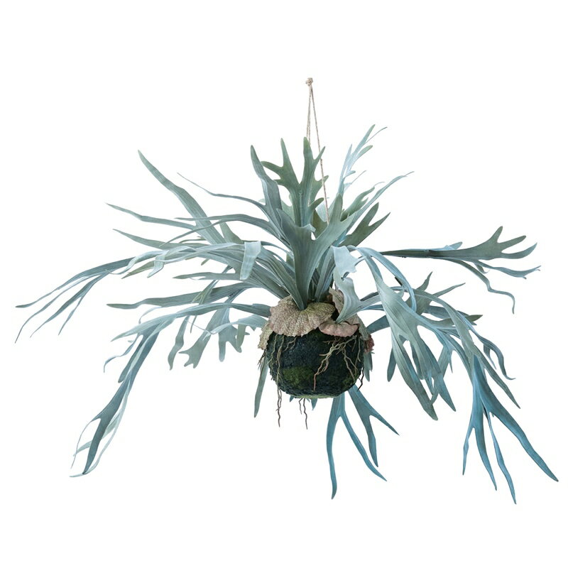 Rakuten - 人工観葉植物 ビカクシダ ハンギングボール 60（1個入り）MIRAKANA 吊るしタイプ ハンキンググリーン インテリア フェイクグリーン 造花 HANGINGグリーン
