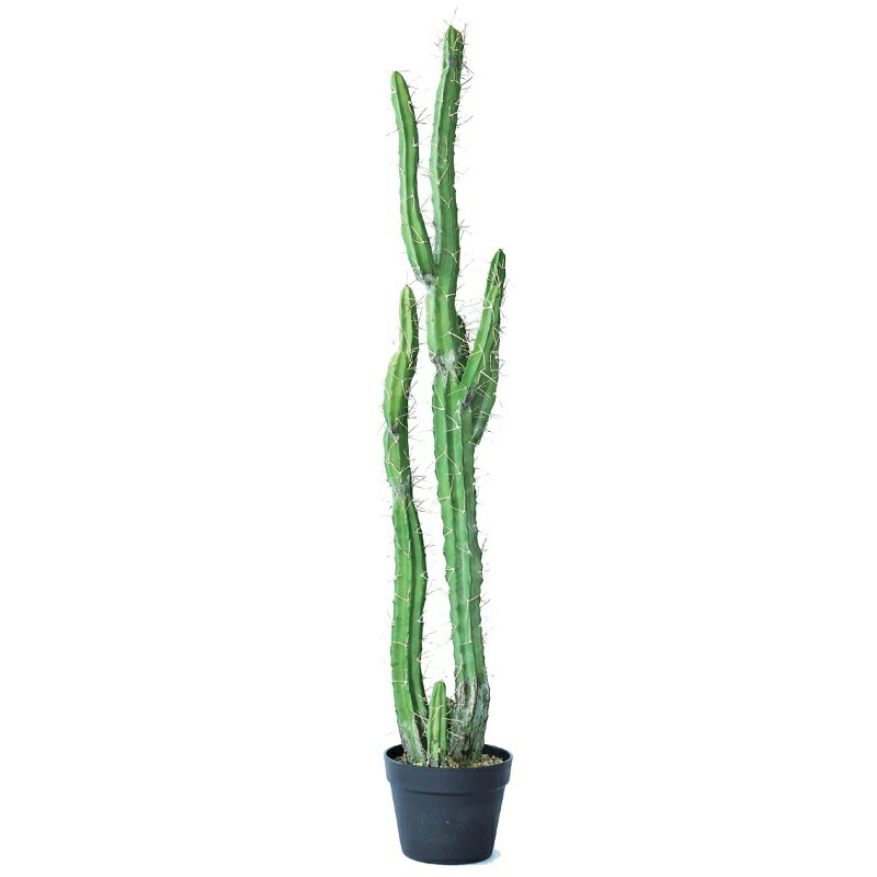 Rakuten - 人工観葉植物 柱サボテン ポット 118（1個入り）MIRAKANA サボテン リビング、休憩室サイズ インテリア フェイクグリーン 造花 CACTUSグリーン