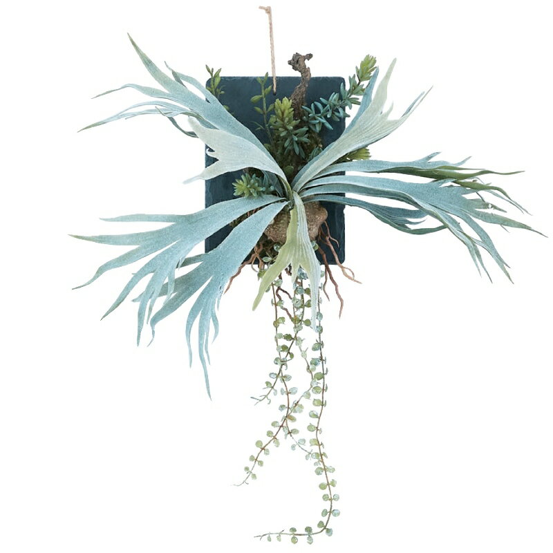 乐天商城 - 人工観葉植物 ビカクシダ ウォール ハンギング スレート 20（1個入り）MIRAKANA ウォールハンギング ウォールグリーン インテリア フェイクグリーン 造花 WALL HANGINGグリーン