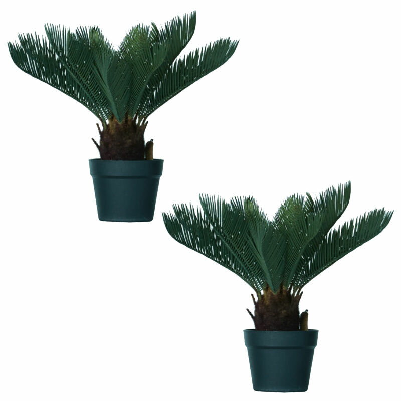 Rakuten - 人工観葉植物 ソテツ ポット 43（2個入り）MIRAKANA 観葉植物 卓上、小型の床置きサイズ インテリア フェイクグリーン 造花 POT INDOORグリーン