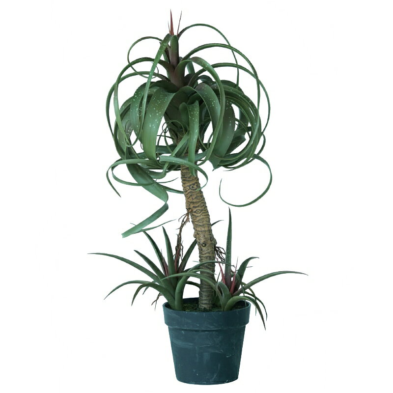 サイズ高さ81cmポットサイズ：約高さ17×直径20cm人工観葉植物チランジア ミックス ポット 81　（ 1 個入り）材質：発砲ポリエチレンプラスチックポット水やり不要の人工観葉植物です。スタイリッシュに空間をデザイン、お好みのポットや鉢にセットして。ホテルのロビー、レストラン、グリーンのディスプレイでお客様に安らぎと憩いの演出を。お店やお部屋のインテリアにいかがでしょうか。お手入れ簡単な人工観葉植物はお手軽にグリーンを楽しめ日々の暮らしに潤いを与えます。ご利用上のご注意 屋内使用を目的として開発されたインドア（屋内）専用商品です。屋外および半屋外でのご利用は適しておりませんのでお控えください。食べられませんので口に入れたり食器類に直に触れるご利用はお避け下さい。 日差しが強く照射する場所、空調が直接あたる場所に置くと、変色・変形することがあります。 換気の良い場所へ設置し水は絶対にかけないでください。天然（自然）素材を使用している商品は、湿気が原因で虫、カビが発生することがあります。また、金属を含んでいる商品は、湿気がおよぶと、錆や腐食が生じます。 人工樹木製品はポリエステル、ポリエチレンを主とした原料でつくられています。商品によって表面に特殊な樹脂コーティングをほどこしたものがあり、箱開封時に特有のにおいがする場合がございます。 自然木が使用されている商品は、あらかじめ燻蒸処理をしておりますが、出荷後の設置環境下によっては外部の虫が付着することがあります。 商品は可燃性です。燃えますので加熱したり火気に近づけることは絶対にしないでください。 背の高い商品や重たい商品は設置場所を確認し、転倒防止のためしっかりと固定してからご利用ください。【開梱検査のお願い】商品が到着したら、必ず破損がないかご確認下さい。破損があった場合は、商品到着から7日以内にご連絡をお願い致します。7日を過ぎた場合、荷受け先から移動した後に破損が見つかった場合は一切補償できません。ご了承ください。商品が届いたら最初に商品の有無・状態についてご確認ください。商品が箱のすみに入ったまま誤って捨てられてしまう恐れもございますので、必ずご確認ください。お荷物は梱包をコンパクトにするため商品の枝花が傷つかないよう曲げて箱に入れられてくる事がありますので、葉が曲がっていたり形状がかたよっていたりすることがあります。焦らずゆっくり丁寧に伸ばし広げてください。 商品は、 生産工程に人の手が加わっているため、サイズや仕上がりに多少の個体差が生じます。そのため、記載されているサイズや色味と若干の誤差が出る場合がございます。なお、パソコンなどのモニターで表示される色味は環境により異なりますので、不良品という訳ではございません。ご了承ください。運送途中に梱包箱に汚れやへこみ等が発生する可能性がございます。梱包箱の破損は商品の不良ではございませんので、返品・交換はお受けできません。ご了承ください。※仕様等予告なく変わる場合があります。手づくりのため一つ一つが違います。また、自然の材料を使っているものは風合いが若干異なる場合がございますので、悪しからずご了承下さいますようお願い申し上げます。※家具等を傷つけないよう直接置かないようにお取り扱い下さい。※用途によりポットカバー等に入れてご使用下さい。在庫調整は致しておりますが、調整の遅れにて出荷手配が出来ない場合、また納期が著しく送れる場合はご連絡を差し上げます。悪しからずご了承下さい。下記の条件が発生し、通常配送と異なる場合はご連絡を申し上げます ・宅配不可 ・パレット納品 ・運送会社営業所止め（お客様が運送会社営業所でのお引き取り） ・配達時、車上渡し（配送車からの商品降ろしはお客様が実施） ・チャーター便配送（商品の大きさや量によりトラック一台貸切る場合あり） ・分納 ・お届けする場所により別途追加運賃が発生する場合