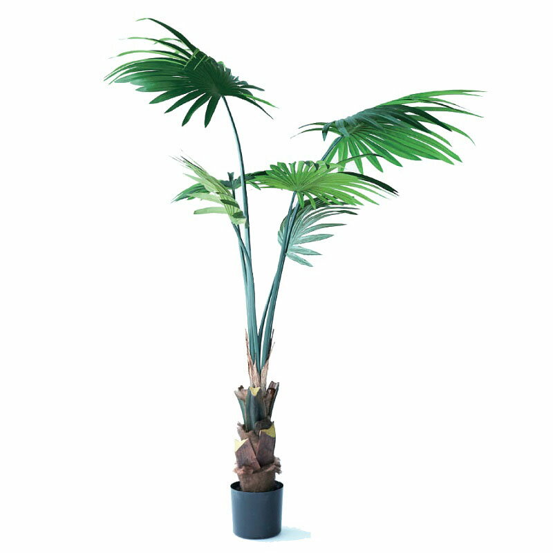樂天商城 - 人工観葉植物 シュロチク ポット 120（1個入り）MIRAKANA 観葉植物 リビング、オフィスサイズ インテリア フェイクグリーン 造花GARDEN PLANTグリーン