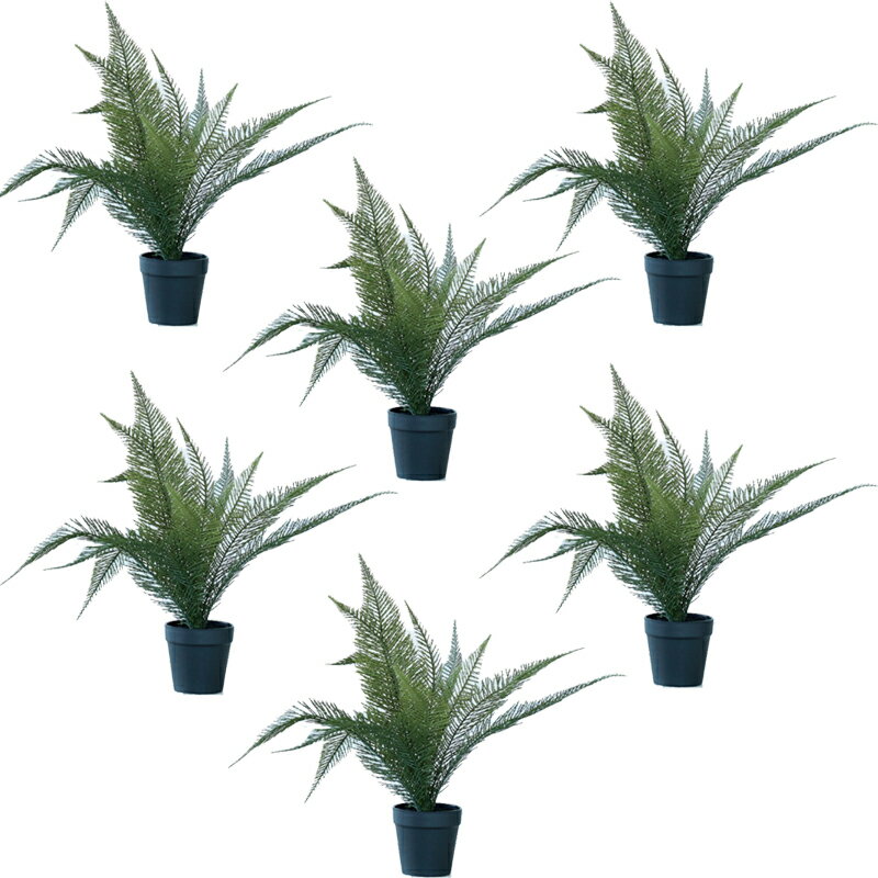 乐天商城 - 人工観葉植物 ファーン ポット 38（6個入り）MIRAKANA 観葉植物 卓上、小型の床置きサイズ インテリア フェイクグリーン 造花 POT INDOORグリーン