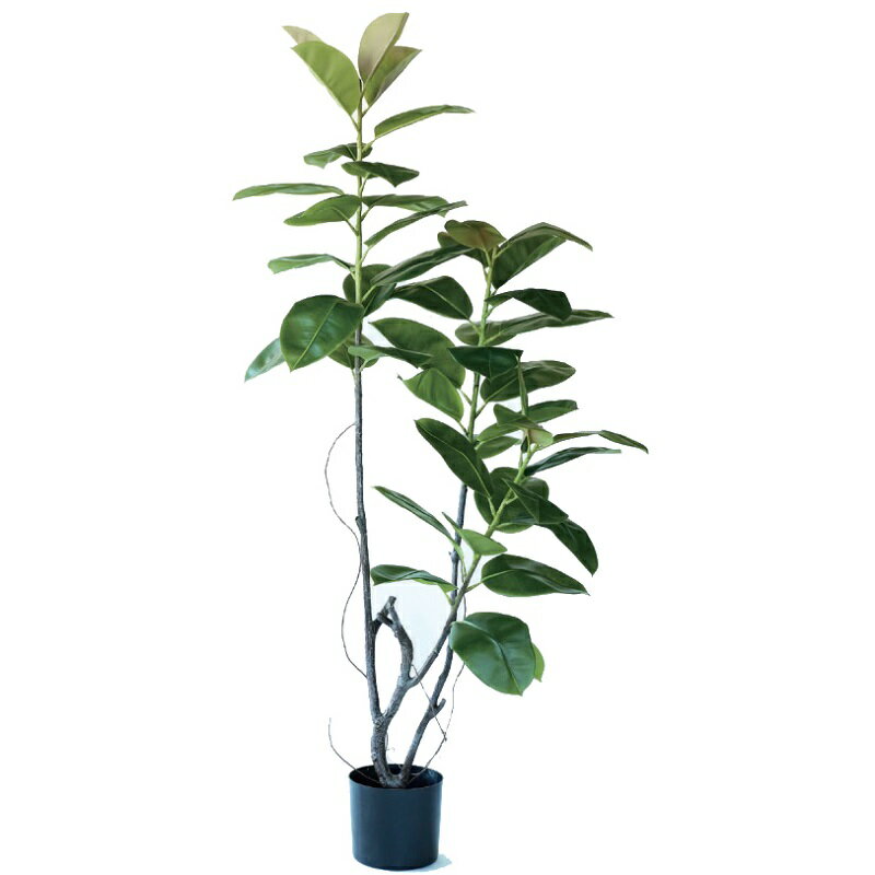Rakuten - 人工観葉植物 フィカス ソフィア ポット 180（1個入り）MIRAKANA 庭木ポット 玄関、広い空間サイズ インテリア フェイクグリーン 造花GARDEN PLANTグリーン