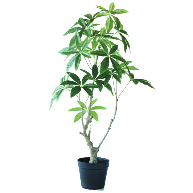Rakuten - 人工観葉植物 パキラ ポット 90（1個入り）MIRAKANA 庭木ポット 床置きの小さいサイズ インテリア フェイクグリーン 造花GARDEN PLANTグリーン
