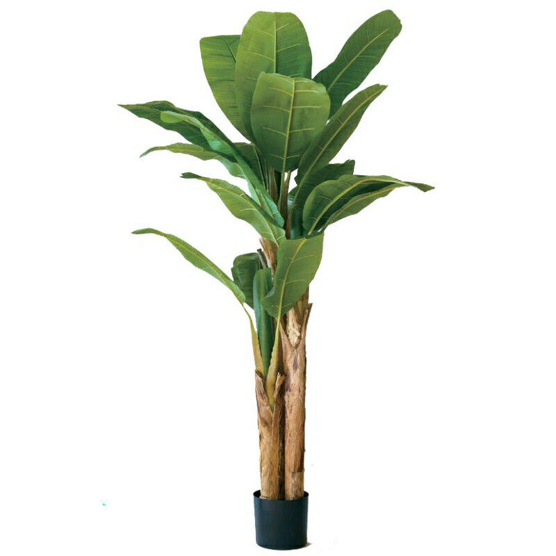 Banana - 人工観葉植物 バナナ ポット 180（1個入り）MIRAKANA 庭木ポット 玄関、広い空間サイズ インテリア フェイクグリーン 造花 GARDEN PLANTグリーン