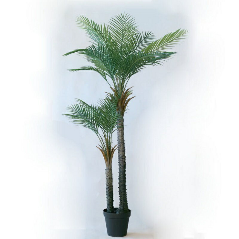 楽天市場】フェニックス ロベレニー（人工観葉植物｜造花・人工観葉