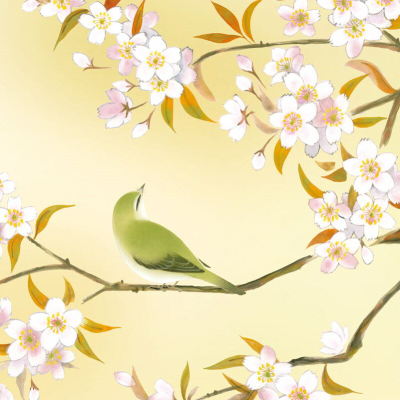 額絵 日本画 花鳥画 春飾り 桜に鶯 F6 緒方葉水 [G4-BK062-F6]（代引き不可） 3