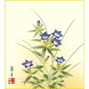 色紙絵 花鳥画【吉井蘭月】桔梗 四季絵 k5-021c 四季千遷秋【代引き不可】