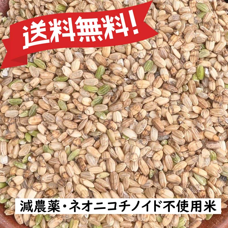 くず米 青米 キヌヒカリ 令和6年産 兵庫県産 減農薬 ネオニコチ くず米 青米 キヌヒカリ 令和6年産 兵庫県産 減農薬 ネオニコチ