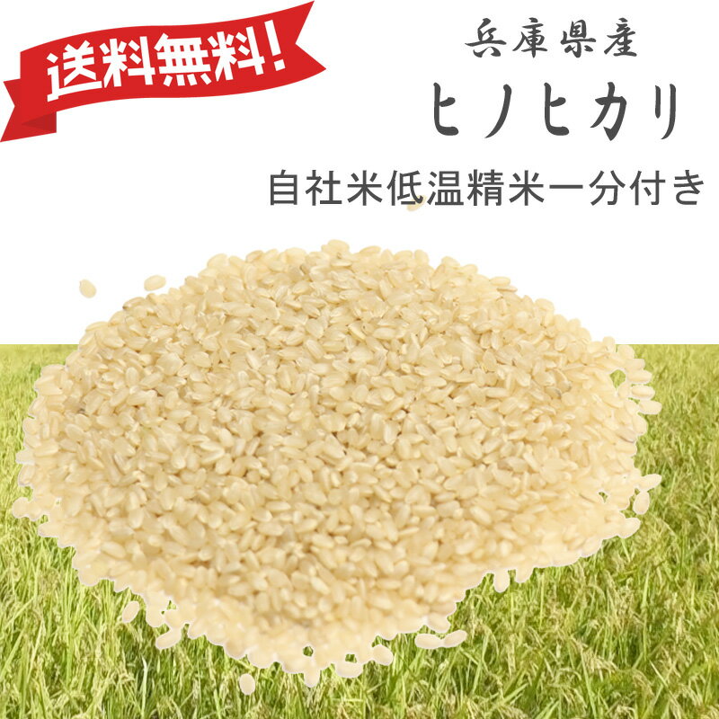 新米|令和7年産 ヒノヒカリ 兵庫県産 ひのひかり 一分つき0.5kg・0.9kg・...