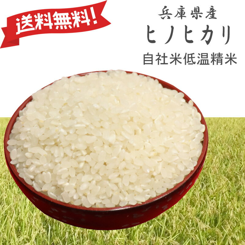 新米|令和7年産 ヒノヒカリ 兵庫県産 ひのひかり 白米0.5kg・0.9kg・2k...