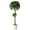 人工観葉植物 フィッカスベンシャミナダブル 180 natural ポット付き 高さ180cm (P58-91236) (代引き不可) インテリアグリーン フェ...