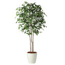 人工観葉植物 フィッカスベンシャミナトリプル 180 natural ポット付き 高さ180cm (P58-91242) (代引き不可) インテリアグリーン フ...
