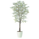 人工観葉植物 ベンジャミナスターライトトリプル 180 natural ポット付き 高さ180cm (P59-91248) (代引き不可) インテリアグリーン ...