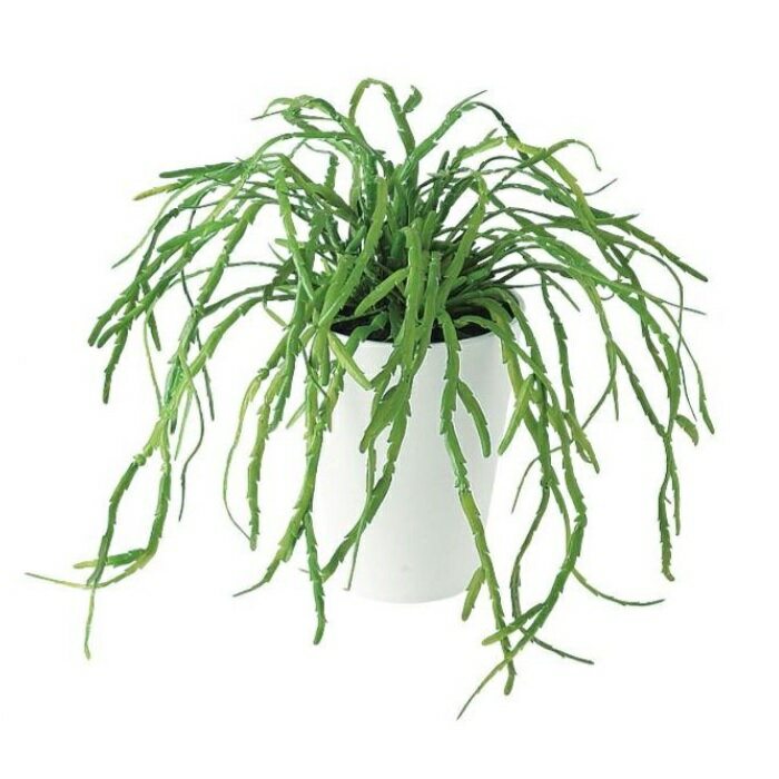 人工観葉植物 リプサリス ポット付き 高さ25cm （P98-91642) （代引き不可） インテリアグリーン フェイクグリーン