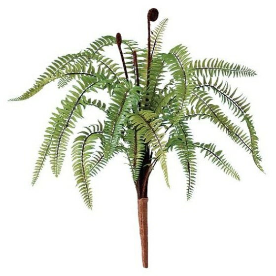 人工観葉植物 ソードファン ブッシュ 長さ35cm （P137-91680) （代引き不可） インテリアグリーン フェイクグリーン