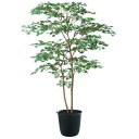 人工観葉植物 ヤマモミジ株立 150 GREEN FST ポット付き 高さ150cm (P122-91764) (代引き不可) インテリアグリーン フェイクグリ...
